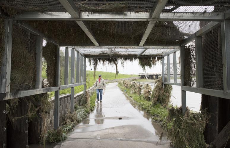 Salt Creek flooding recedes