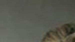 Heather Mills Awarded 48 6 Million From Paul Mccartney Music Journalstar Com Every effort should be made to keep these covenants and preserve marriage. heather mills awarded 48 6 million