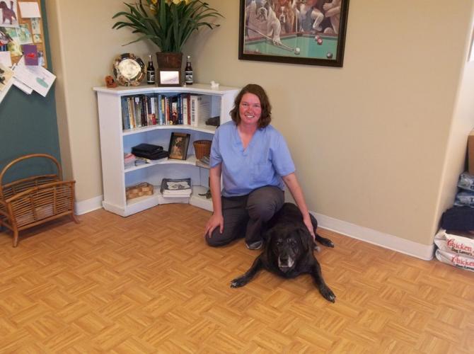 Driftwood Boarding & Wellness, also known as Driftwood Kennels