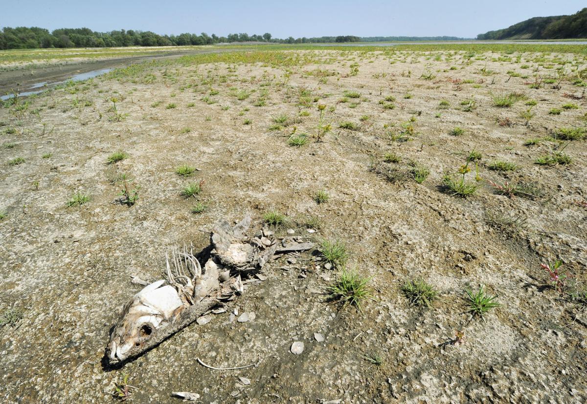 Drought
