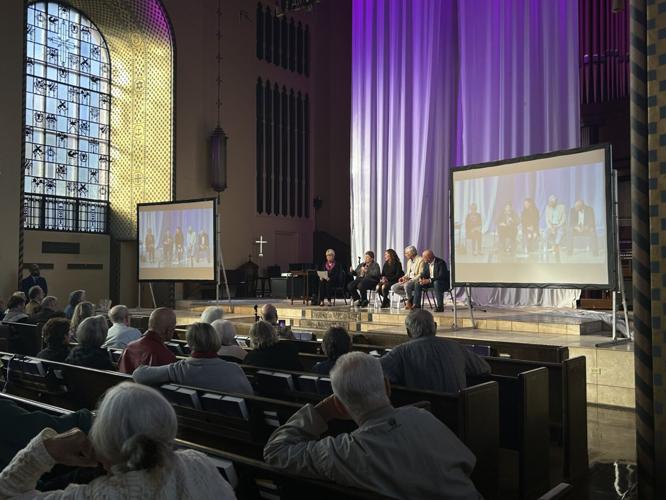 Democracy panel