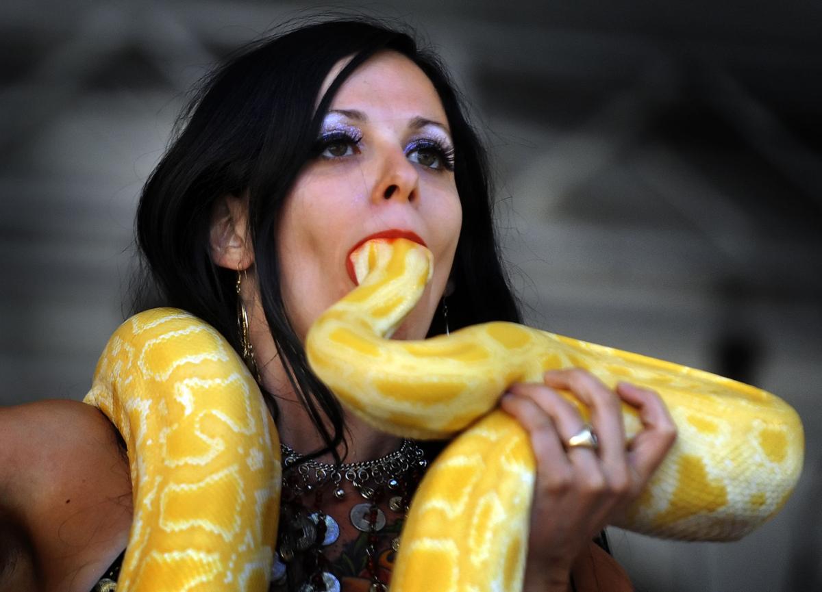 Snake handling