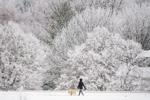 Top Journal Star photos for February