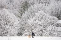Top Journal Star photos for February