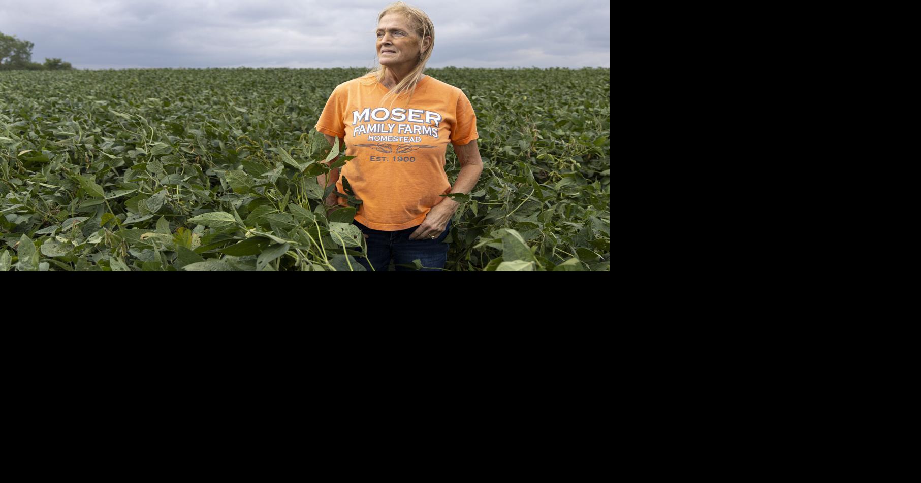 Lancaster County farmland values see biggest increase in Nebraska