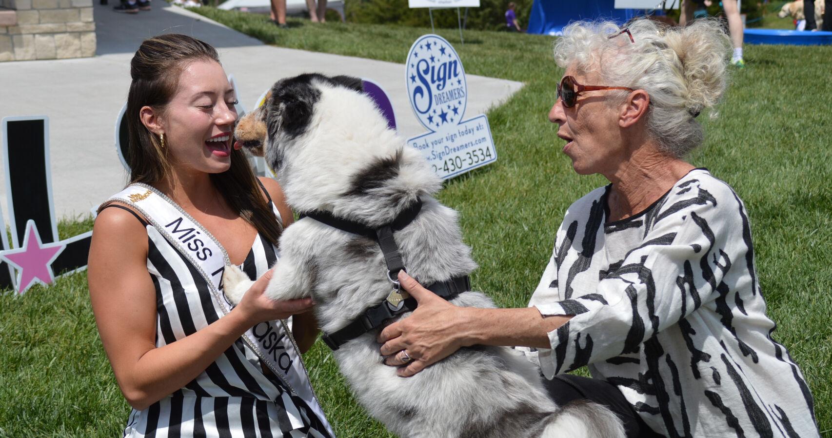 Tails & Trails Pet Festival sets attendance and fundraising records - Vimarsana News