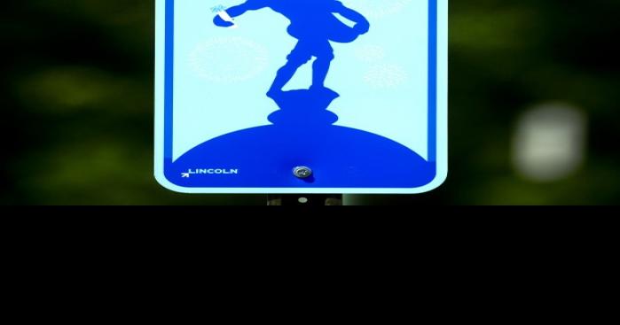 Fourth of July-themed street signs downtown delight some, confuse others
