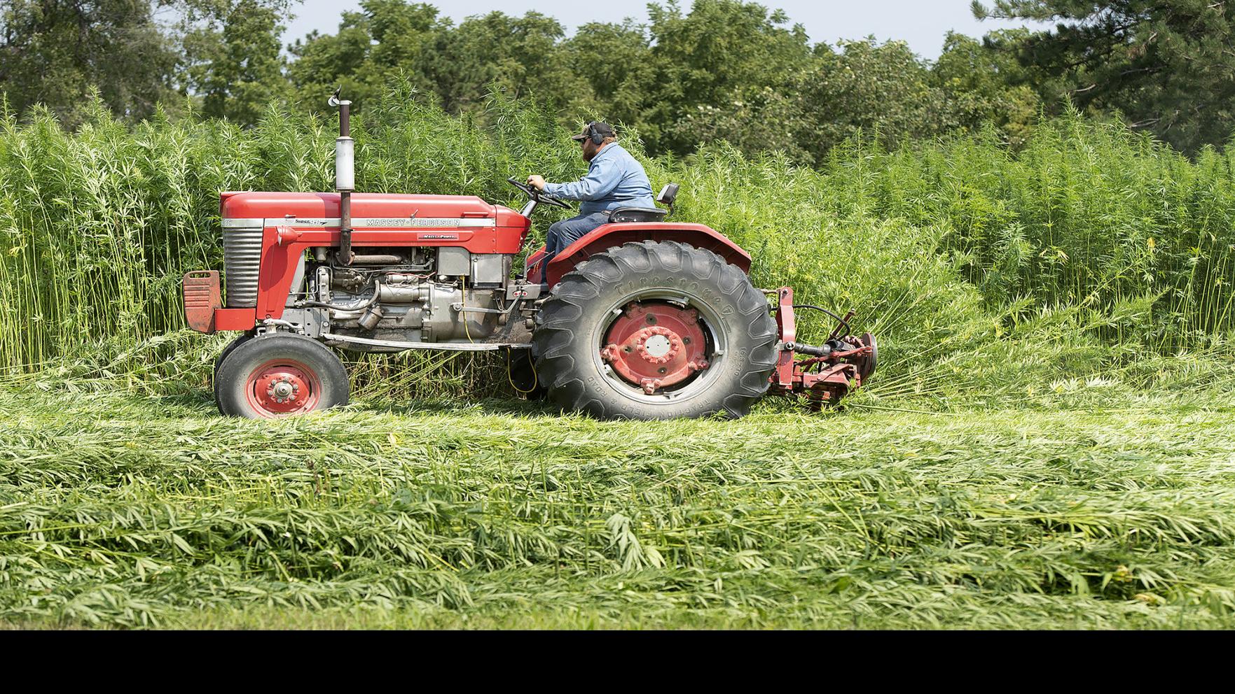 Hope for hemp: Lincoln-area farm trying to reshape Nebraska ...