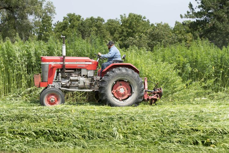 Hope for hemp: Lincoln-area farm trying to reshape Nebraska ...