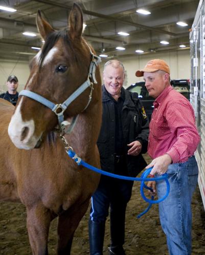 Horse Donation