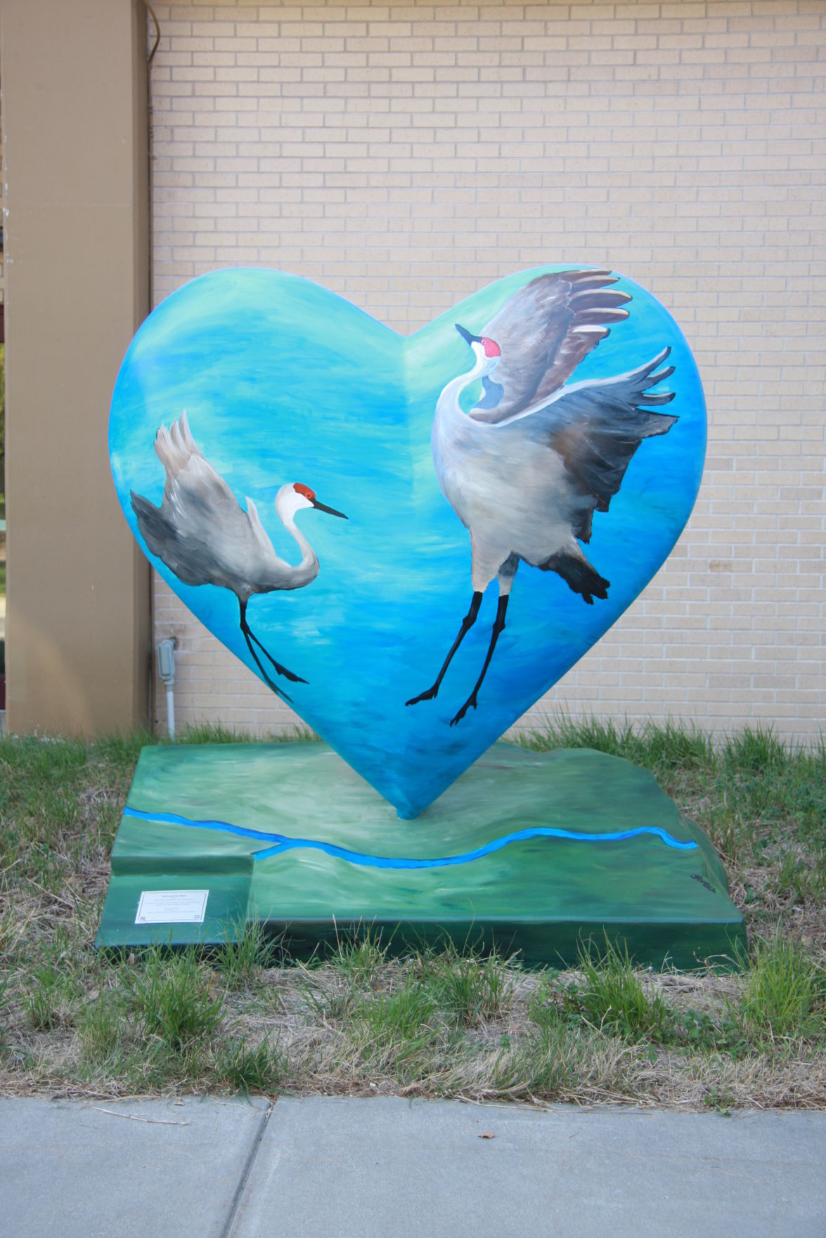 Sandhill Cranes