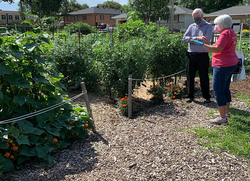 City Hall: Community Crops garden plots to move next to Lincoln library ...