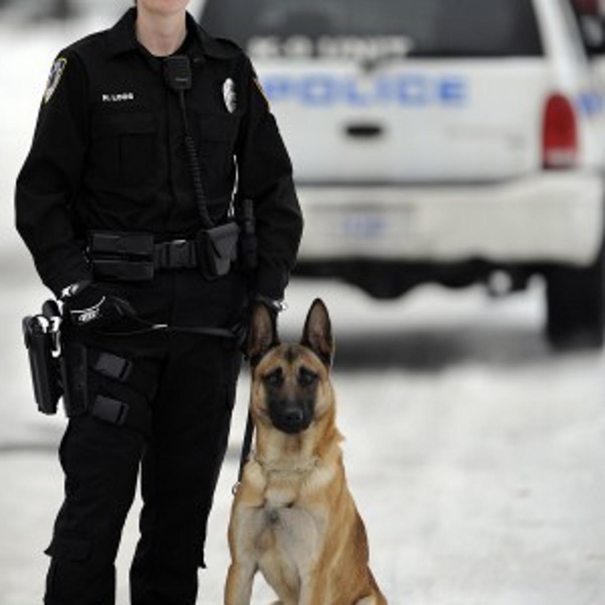 New Police Dog Joins Lpd S First Female Canine Officer Crime And