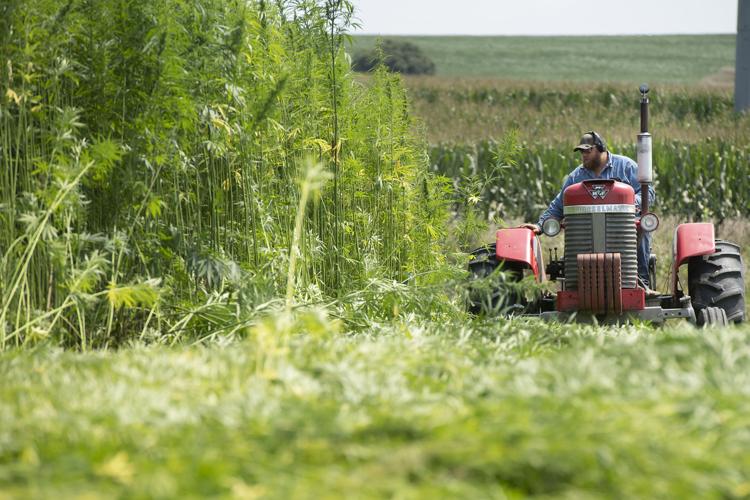 Hope for hemp: Lincoln-area farm trying to reshape Nebraska ...
