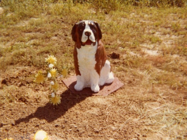 st bernard dog statue