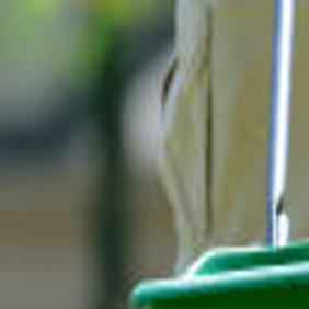Sarah Browning Use Right Fertilizer For Early Late Fall Home