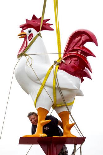 CHICKEN CELEBRATION