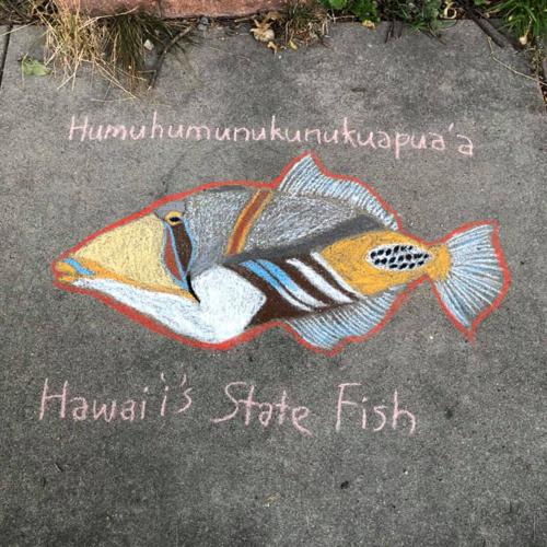 Sidewalk chalk art