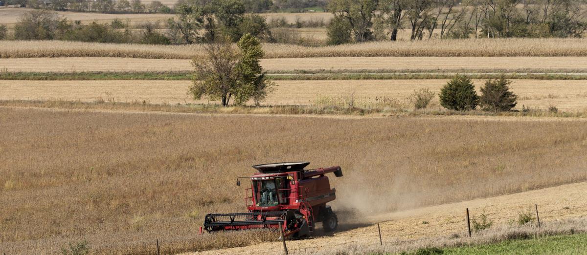 Ongoing tumult in farm economy had mixed impact on 2015 ...