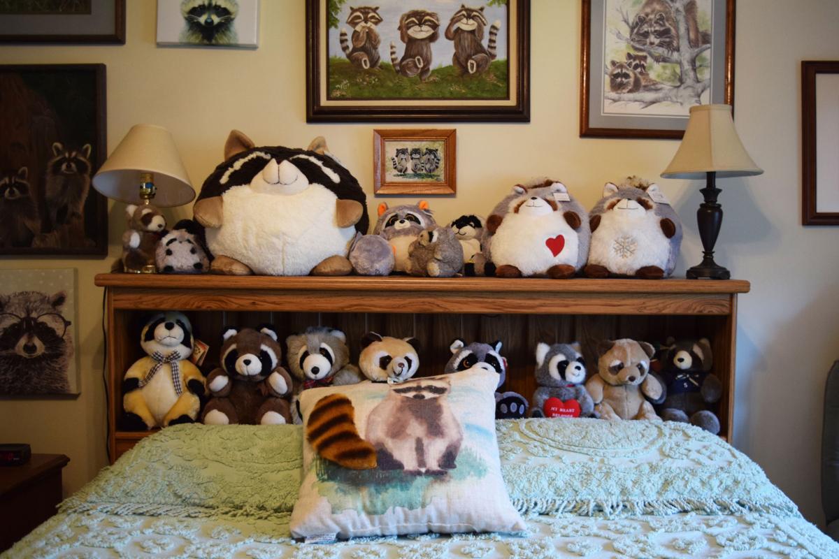 Raccoons