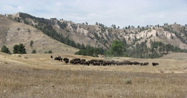 Fort Robinson State Park