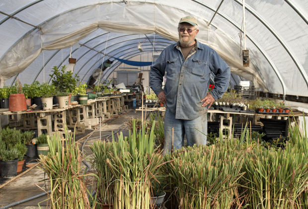 Gene Gage greenhouse
