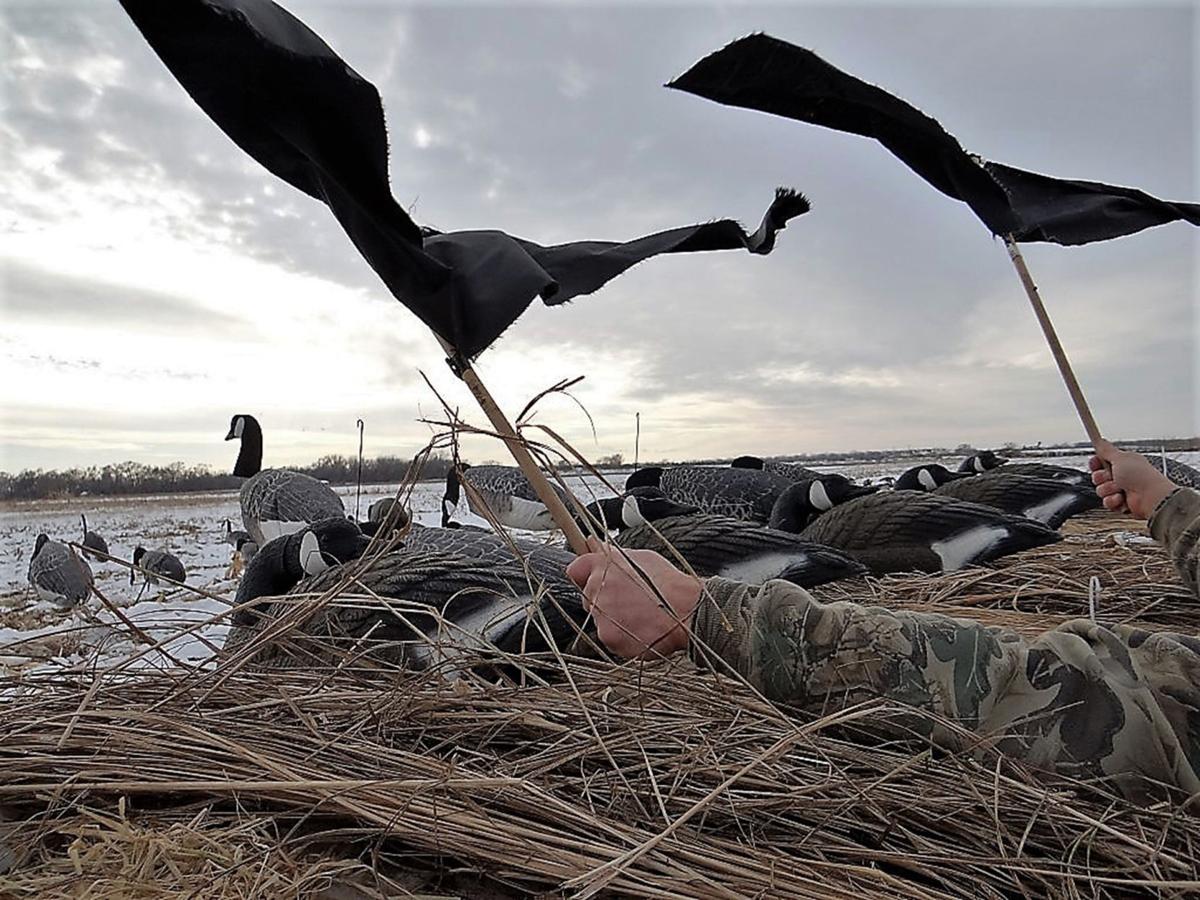Goose hunt