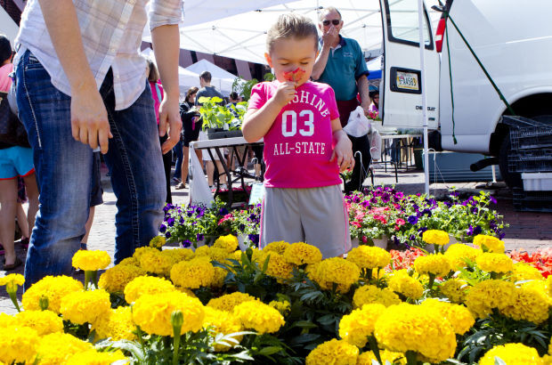 Haymarket Farmers Market