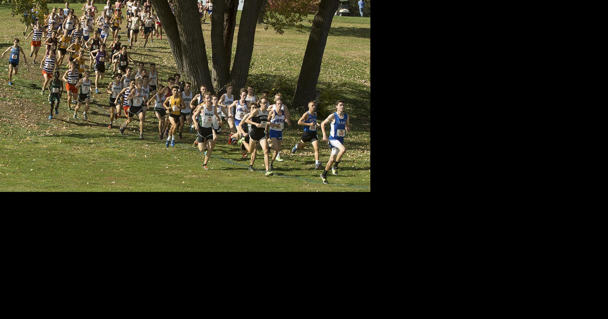 State cross country Team results and top finishers