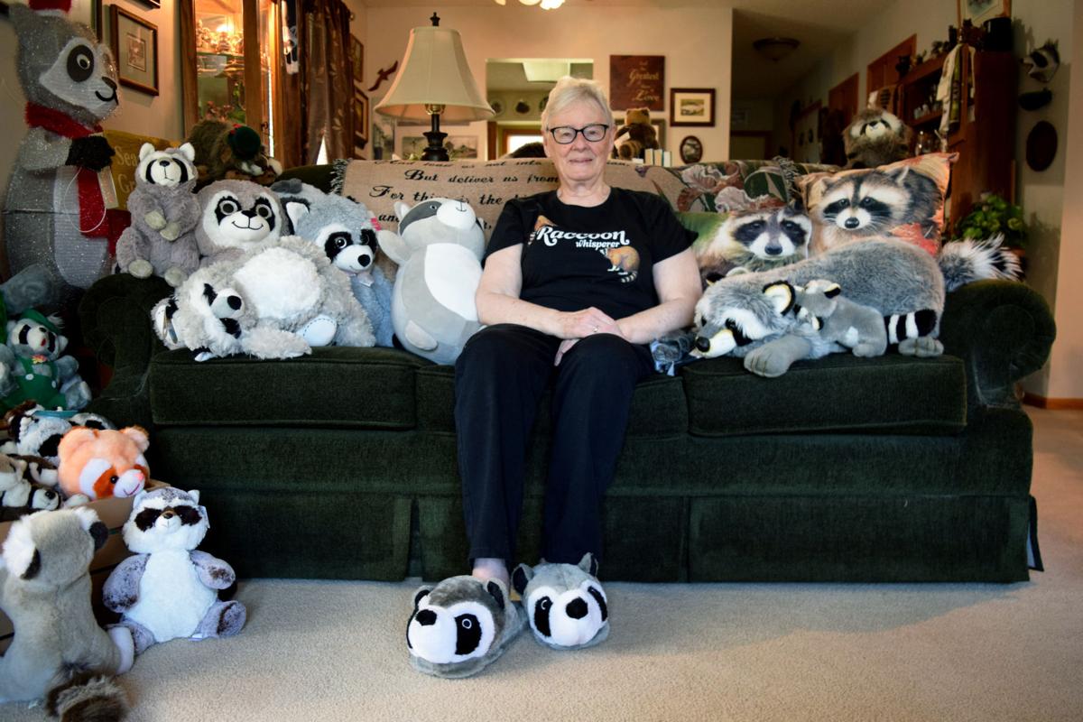 Raccoons