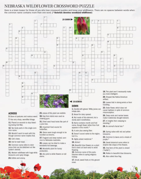 Nebraska Wildflower Crossword Puzzle