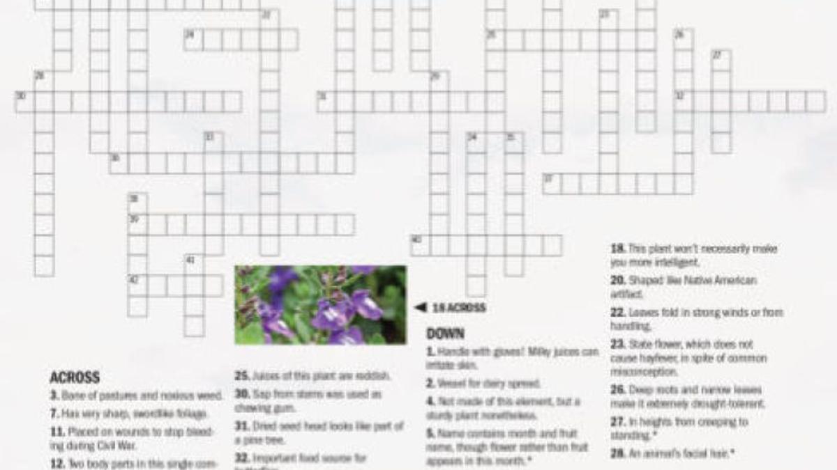 Tree Or Shrub With Purple White Fragrant Flowers Crossword Clue Best Tree Or Shrub With Purple White Fragrant Flowers Crossword Clue Best