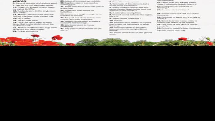 Nebraska Wildflower Crossword Puzzle Home Garden journalstar com