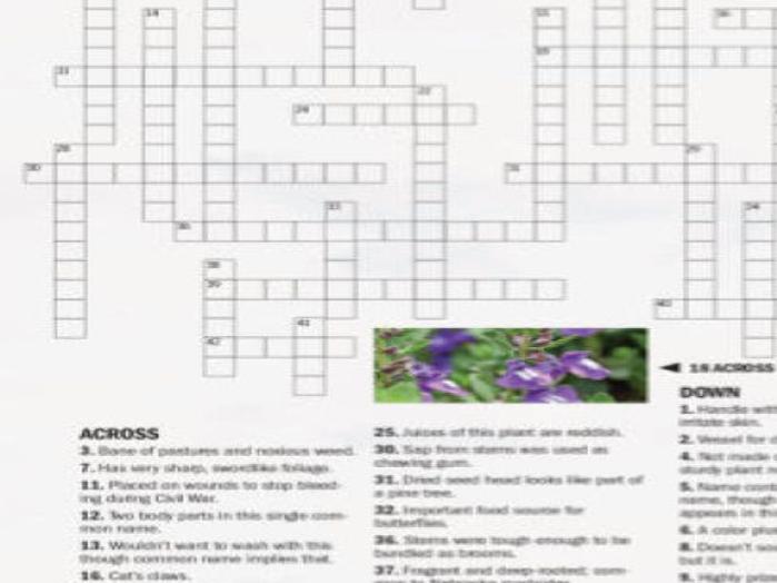 Nebraska Wildflower Crossword Puzzle