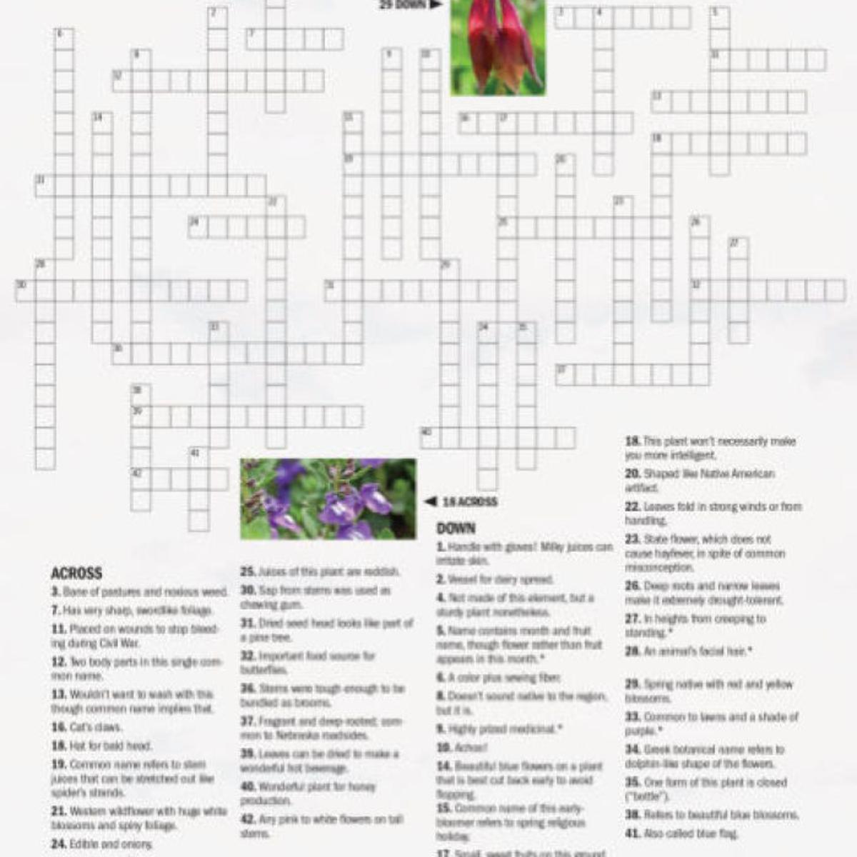 Nebraska Wildflower Crossword Puzzle