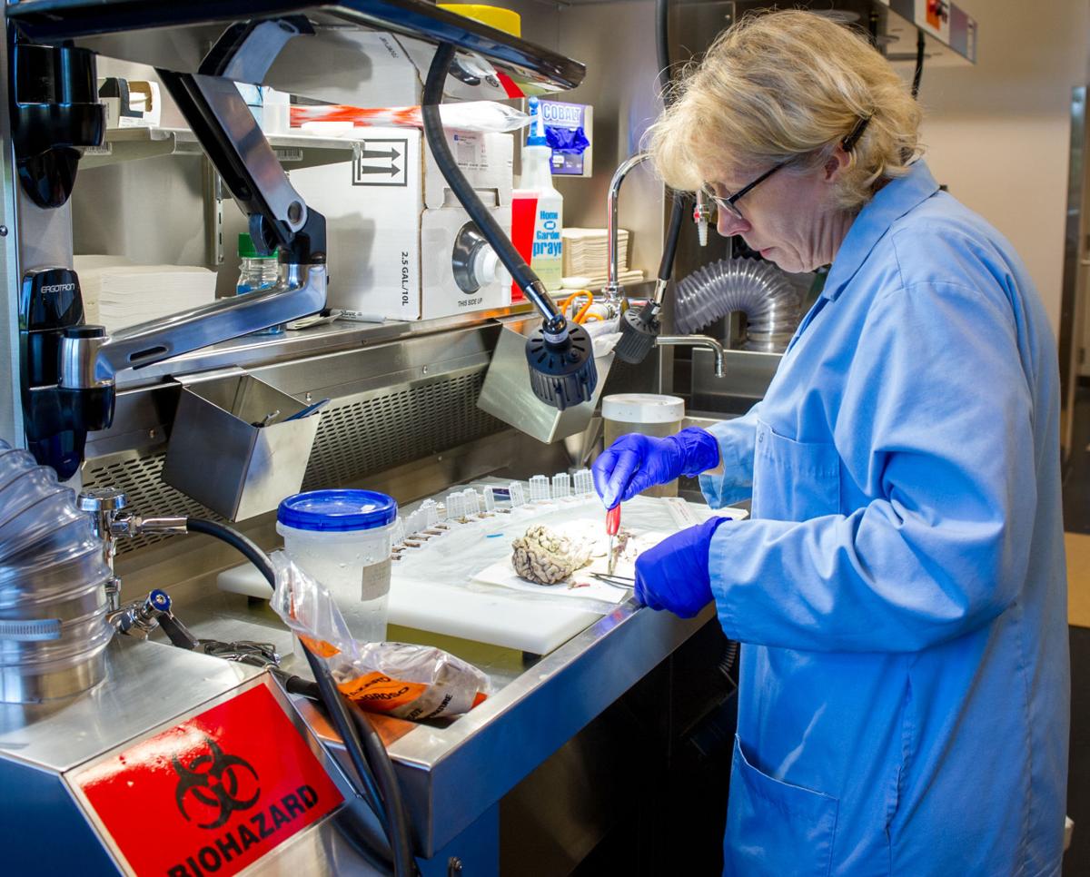 New UNL vet diagnostic center ready to keep growing Education