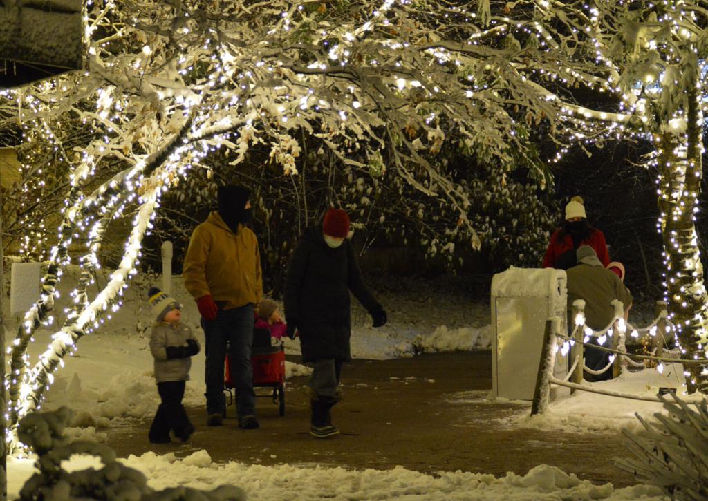 2nd annual Zoo Lights off, then on again at Lincoln ...