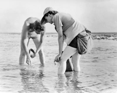 Rachel Carson 2012092001.jpg