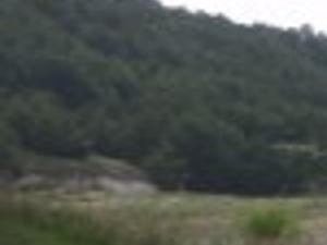 Nebraska S Forgotten Tailwater Outdoors Journalstar Com