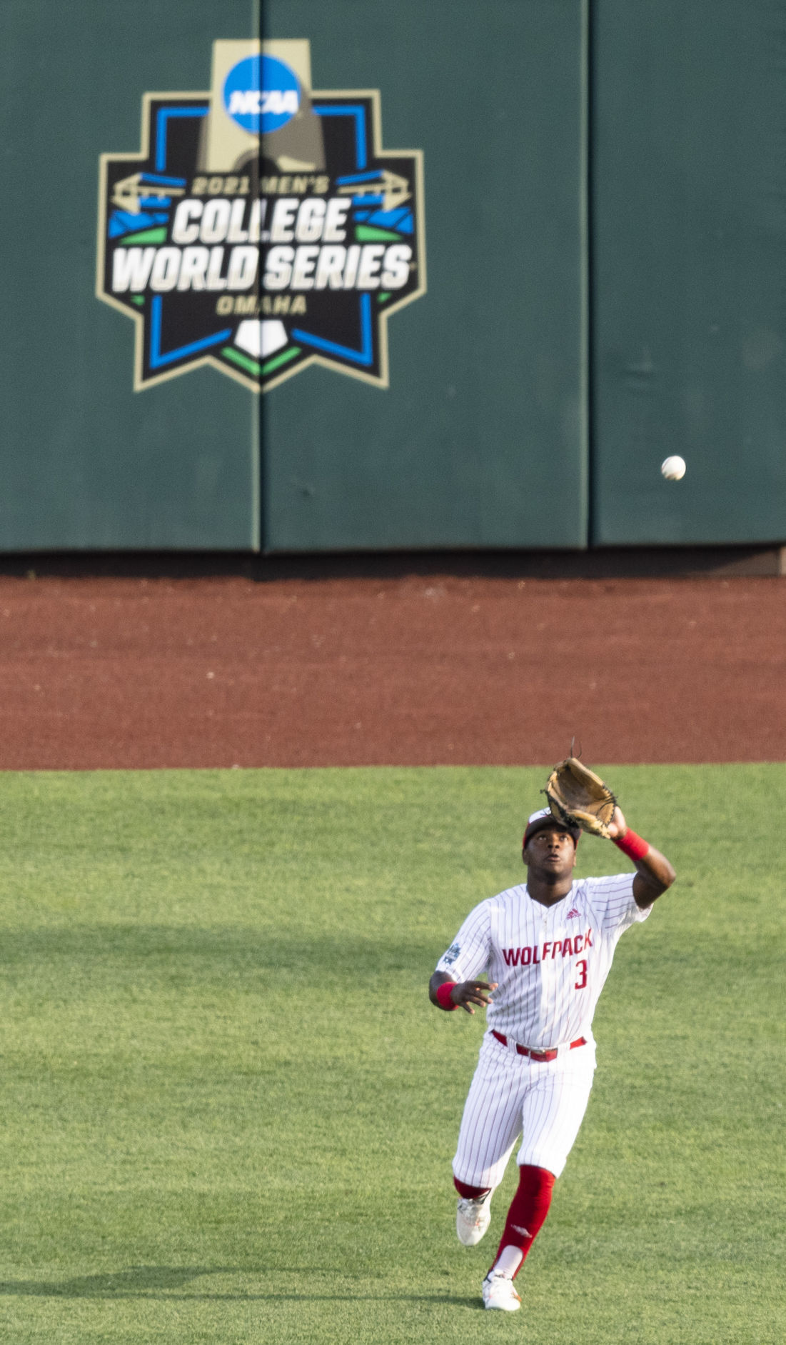 NC State's CWS Removal: The Timeline Of Events • D1Baseball