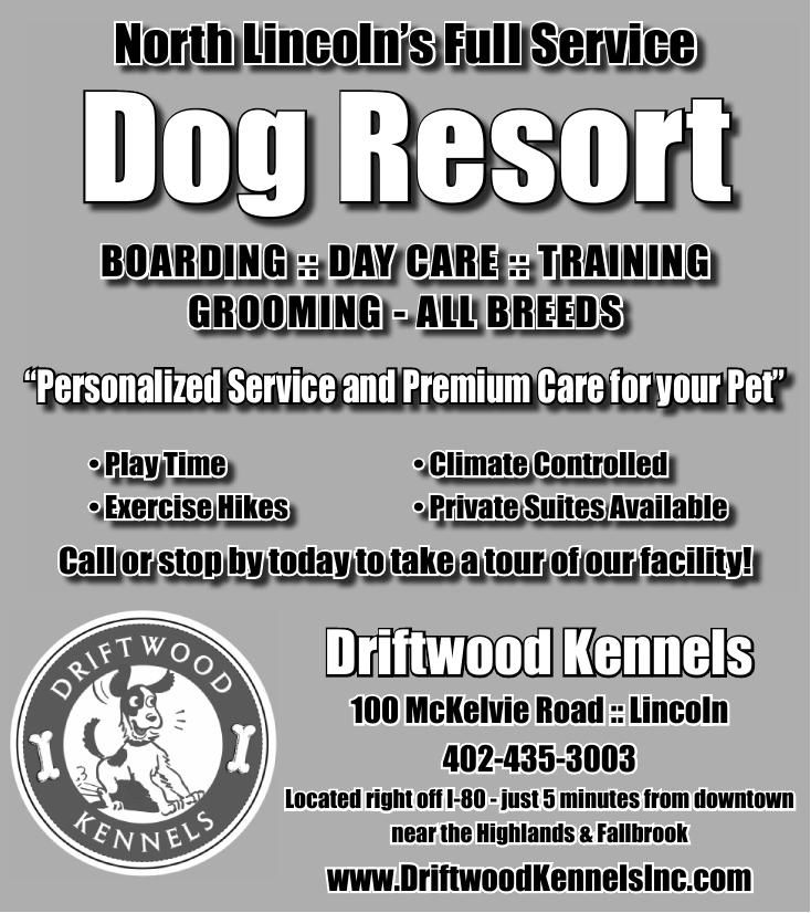 Driftwood Boarding & Wellness, also known as Driftwood Kennels