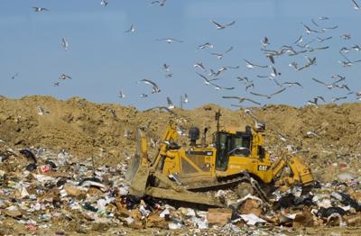 Bluff Road Landfill
