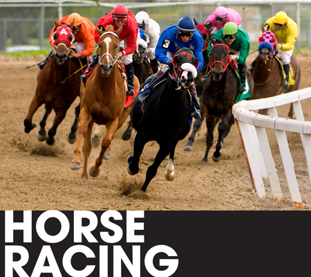Horse racing logo