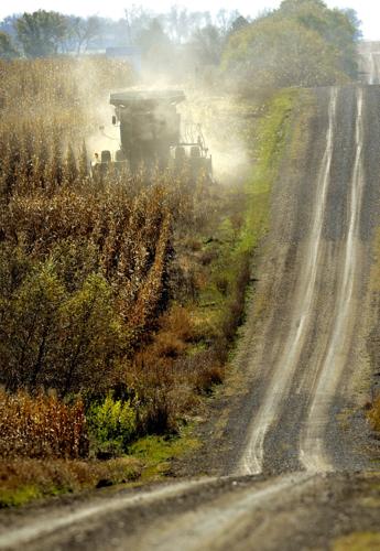Harvest time