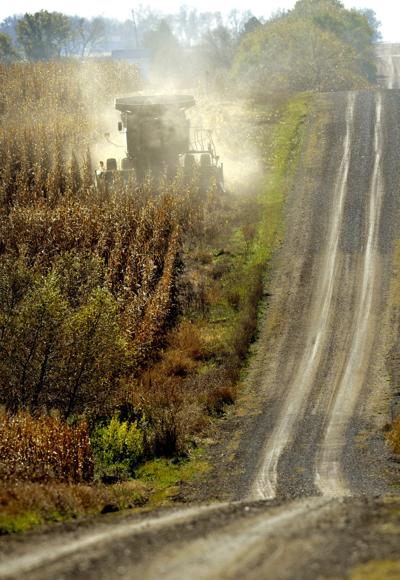 Harvest time
