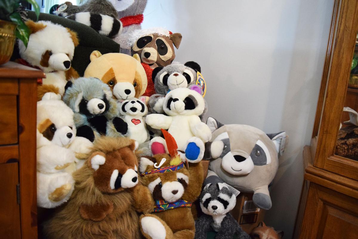 Raccoons