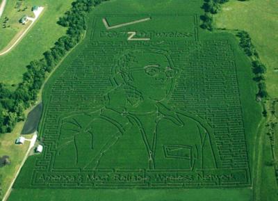 Denton corn maze