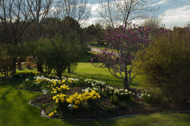 Spring garden