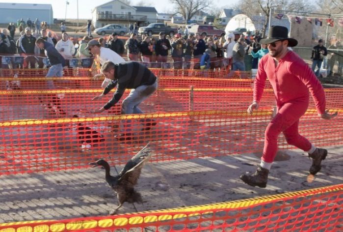 Avoca Quack Off still draws crowds by the busload