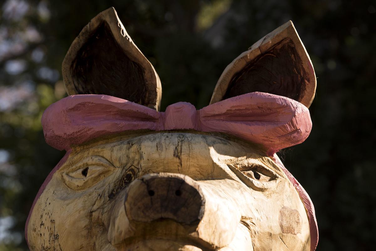 Get Wallpaper From Twig To Pig A Love Story In Central Lincoln Local For iPhone Free